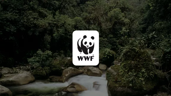 wwf-website.jpg