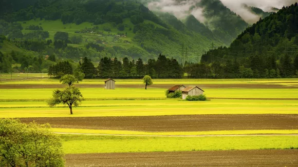 Θέσεις εργασίας στον ΕΛΓΟ Δήμητρα