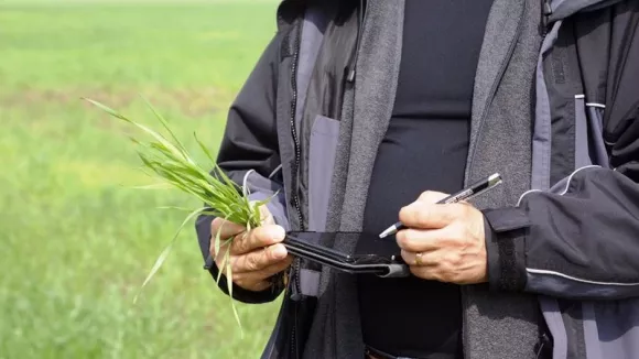 Ελληνικό Γεωργικό Οργανισμό (ΕΛΓΟ) - Δήμητρα