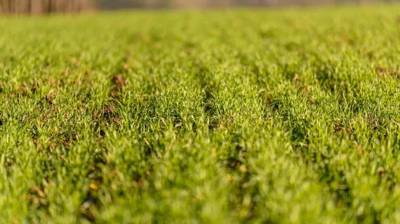 Θέσεις εργασίας σε ΓΟΕΒ - ΤΟΕΒ
