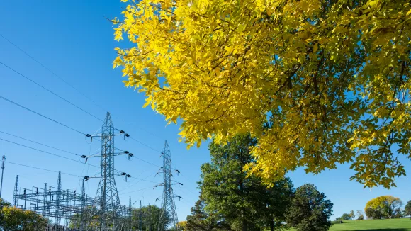 Θέσεις εργασίας στον ΔΕΔΔΗΕ