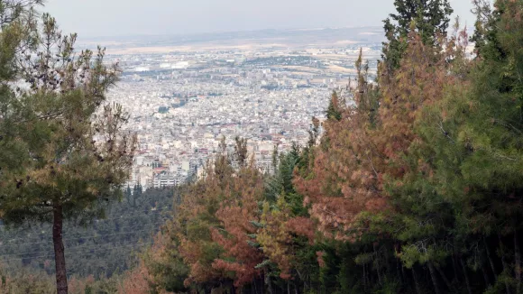 Θεσσαλονίκη: Προσλήψεις χωρίς πτυχίο στις Συκιές