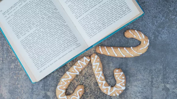 Τι σημαίνει η λέξη «επιφυλλίδα»
