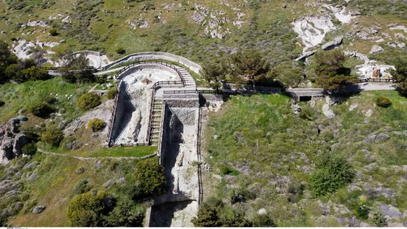 ΟΙ ΑΓΡΙΕΣ ΟΡΧΙΔΕΕΣ ΤΟΥ ΑΠΟΛΙΘΩΜΕΝΟΥ ΔΑΣΟΥΣ ΣΤΟ ΣΙΓΡΙ ΤΗΣ ΛΕΣΒΟΥ