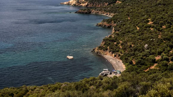 ΠΕ Χαλκιδικής: Προσλήψεις γεωπόνων για την καταπολέμηση του δάκου της ελιάς
