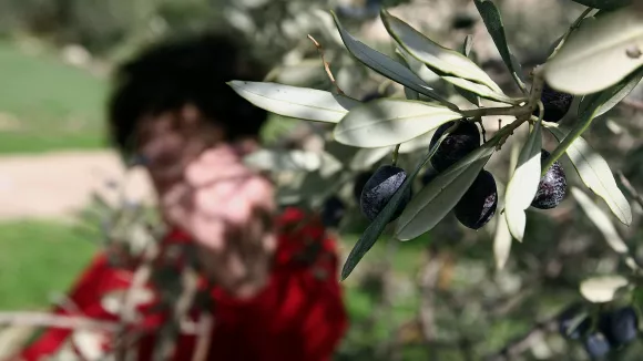 Περιφέρειες: Άνοιξαν οι αιτήσεις για 16 προσλήψεις στα Χανιά