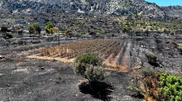 Φωτιά στη Χίο