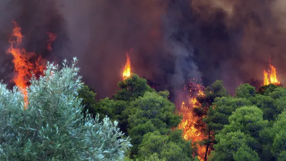 Μεγάλη φωτιά στις Σέρρες: Επιχειρούν 44 πυροσβέστες και εναέρια μέσα