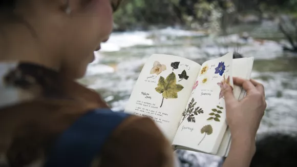Τι σημαίνει η λέξη «άγανο»