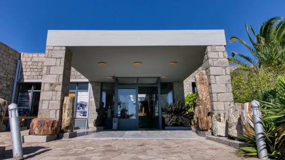 Μουσείο Φυσικής Ιστορίας Απολιθωμένου Δάσους Λέσβου