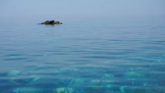 Σχηματίζεται νέος ωκεανός κάτω από την Αφρική - Η ανακάλυψη των επιστημόνων