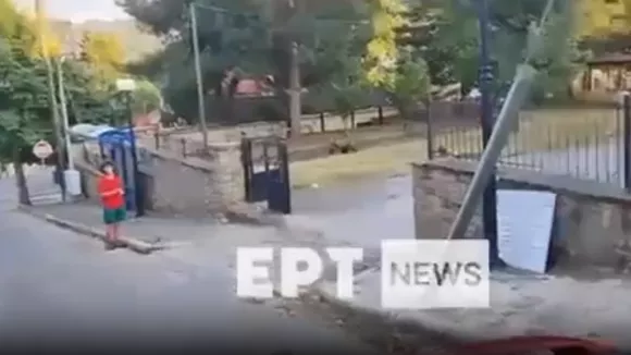 Αρκούδα Καστοριά