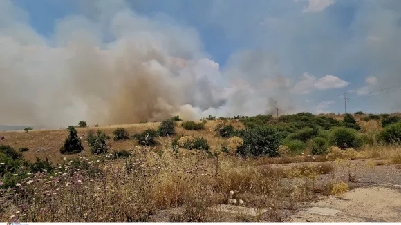 Φωτιά τώρα στη Λέσβο - Κοντά σε κατοικημένη περιοχή