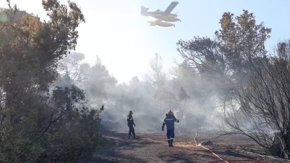 Η πυρκαγιά από την Αλβανία πέρασε στο ελληνικό έδαφος – Επιχειρούν δυνάμεις στον Τσαμαντά Θεσπρωτίας