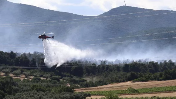 ΙΝΤΙΜΕ