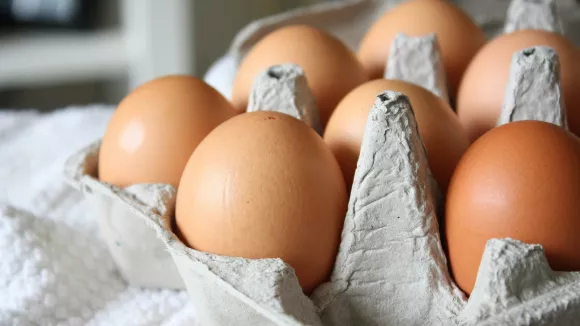 Αυγά - Eggs