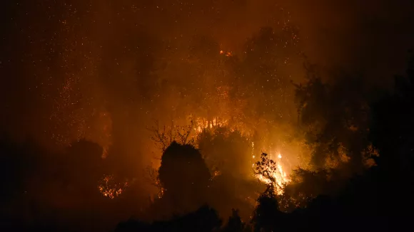 Πύρινος εφιάλτης στον Τύρναβο: Ολονύκτια μάχη με τις φλόγες