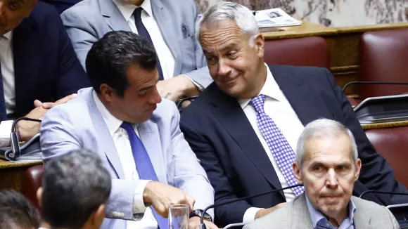 Πλευρης βοριδης
