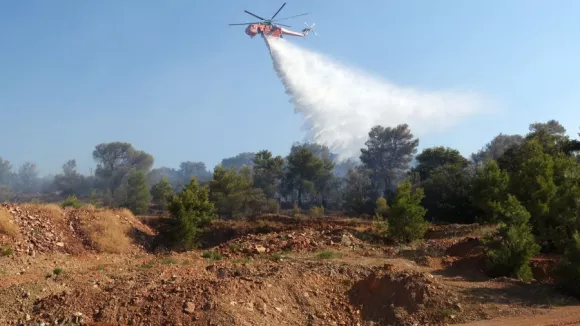 ΙΝΤΙΜΕ