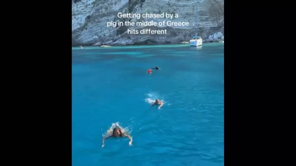 βιντεο