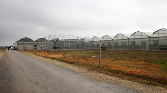 Θερμοκήπια - Στέγαστρα φυτικής παραγωγής: Παρατείνονται οι αιτήσεις