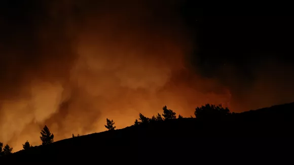 Φωτιά στη Χίο: «Ρωτάγαμε αστυνομικούς «τι να κάνουμε;» και μας έλεγαν «ό,τι θέλετε»