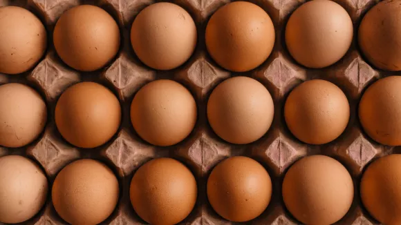 Αυγά - Eggs