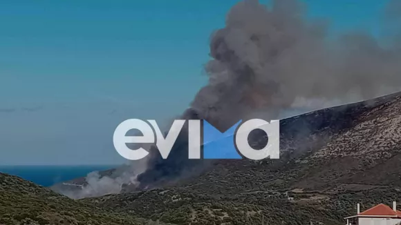 Φωτιά στην Εύβοια