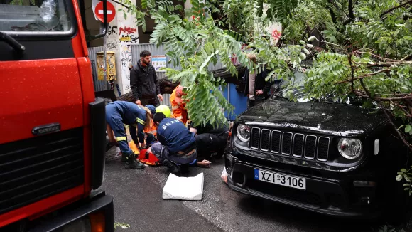 Κακοκαιρία Δέντρο ξεριζώθηκε και τραυμάτισε οδηγό 