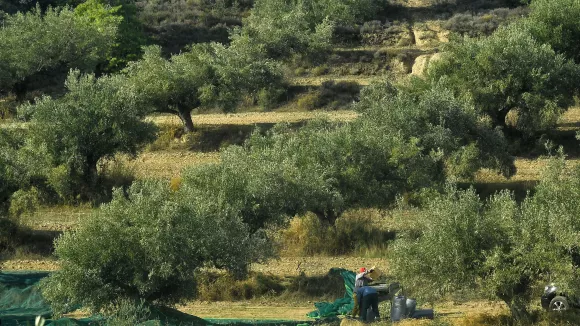 ΟΠΕΚΕΠΕ: Πληρώνονται άμεσα οι αγρότες - Νέο σύστημα πληρωμών και ελέγχων στις επιδοτήσεις