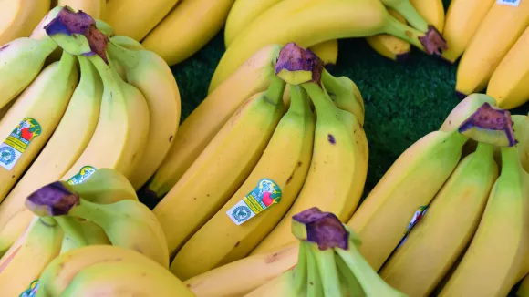 Μπανάνες