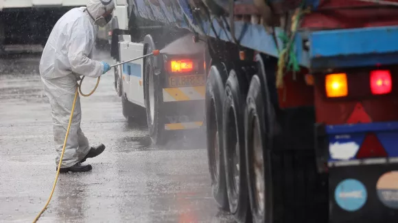 Ευλογιά αιγοπροβάτων: 52 νέα κρούσματα - Πάνω από 420.000 έχουν θανατωθεί