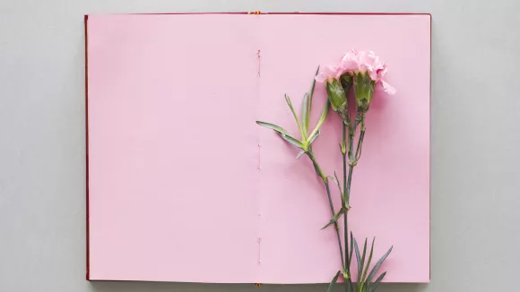 Τι σημαίνει η λέξη «έμφραξη»