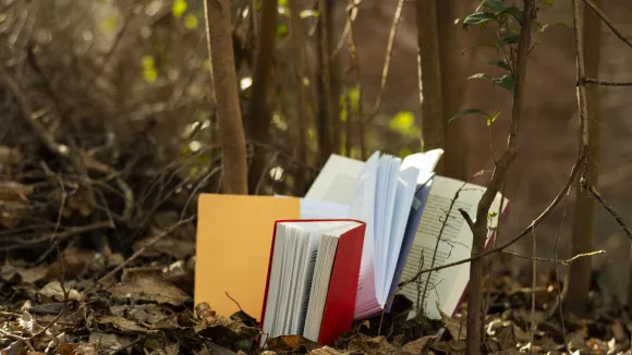 Τι σημαίνει η λέξη «ιόχρους»