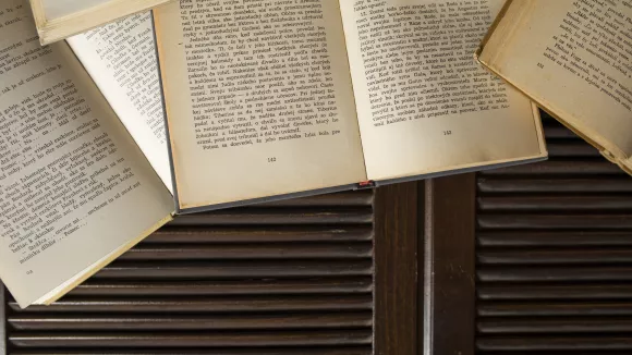 Τι σημαίνει η λέξη «φανός»