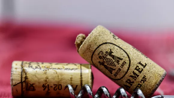 Τιρμπουσόν