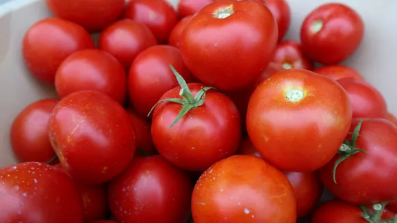 Διατροφή και Υγεία