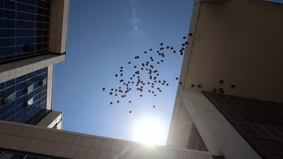 Μάτι και Μάνδρα: Σύνταξη 1.700 ευρώ στους συγγενείς θυμάτων