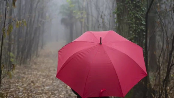 Πώς λέμε στα ελληνικά την «ομπρέλα»;