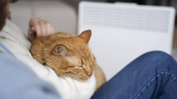 ΔΕΗ: Σταθερές οι τιμές στα «πράσινα» τιμολόγια τον Ιανουάριο - Δείτε τις χρεώσεις