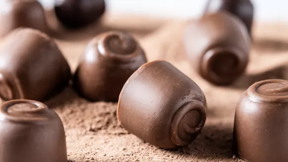 ΕΦΕΤ: Ανακαλούνται χριστουγεννιάτικα σοκολατάκια πασίγνωστης εταιρείας (εικόνες)