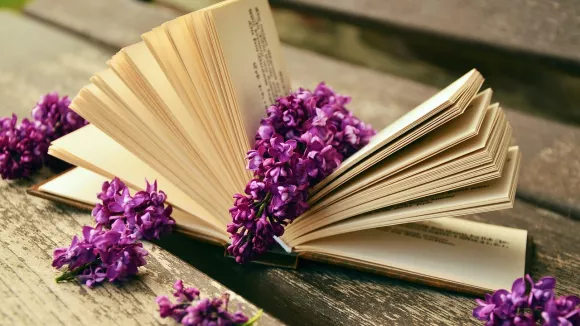 Βιβλία - books και λογοτεχνία