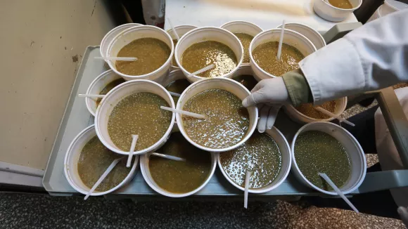 Δήμος Αθηναίων: Τα έκτακτα μέτρα για άστεγους λόγω χαμηλών θερμοκρασιών