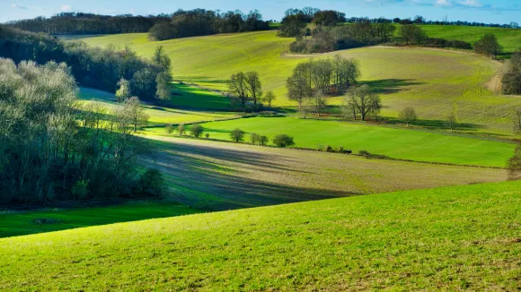 ΕΛΓΟ Δήμητρα