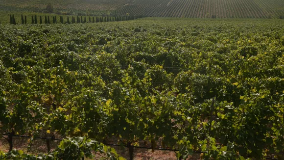 ΓΟΕΒ Θεσσαλονίκης - Λαγκαδά: Τελευταία ευκαιρία για 48 προσλήψεις