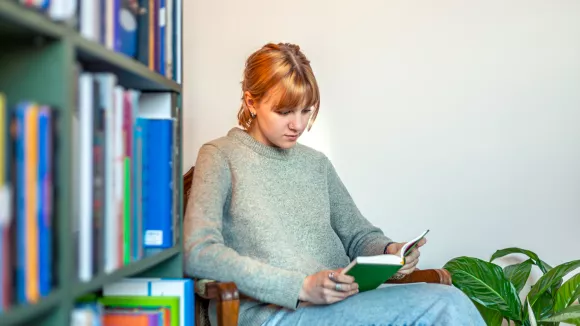 Τι σημαίνει η λέξη «μπαταχτσής»