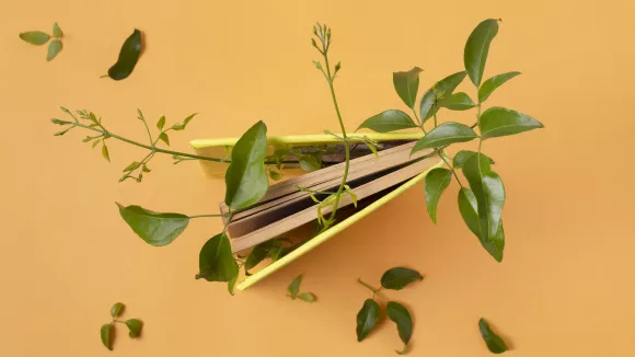 Τι σημαίνει η λέξη «γλυφός»