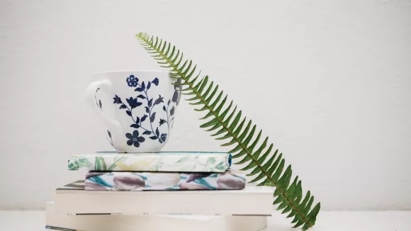 Τι σημαίνει η λέξη «ζουλάπι»