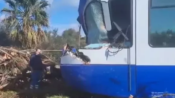 Πεύκο κατέρρευσε πάνω σε τρένο εν κινήσει – Συγκλονίζει ο μηχανοδηγός