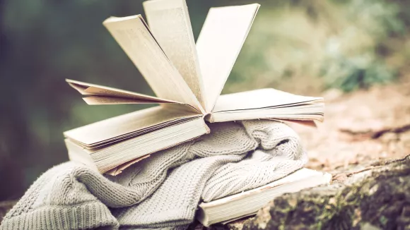 Τι σημαίνει η λέξη «ληρώδης»